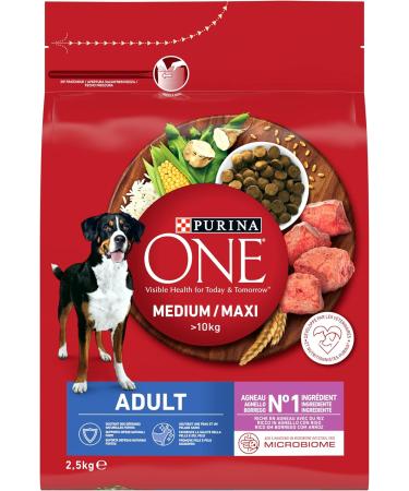 PURINA ONE Medium/Maxi Adult Beef 2.5kg Dry Food for Medium and Large Adult Dogs - Buy Online on GoSupps.com