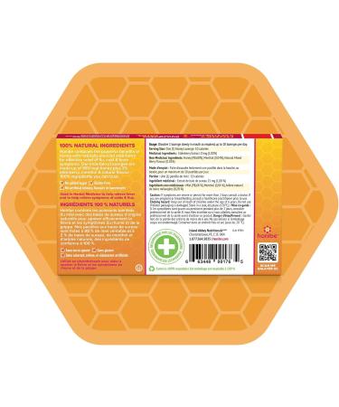 Honibe 100% Pure Honey Lozenges | Made in Canada | Mucus and Cough Relief | With Elderberry | 1 pack (10 lozenges) | Natural Berry - Buy Online on GoSupps.com
