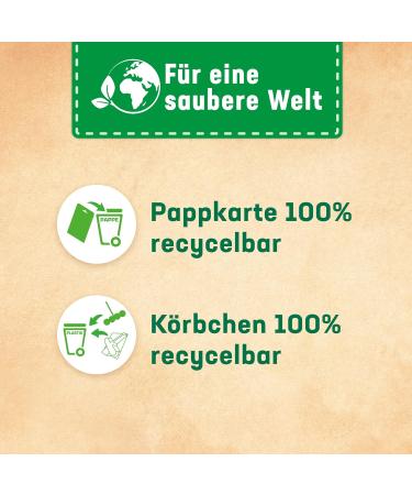 Toilet-Fresh Power Active Turquoise Maker - 10 Pack | Intensive Toilet Cleaner & Fragrance Stones for Freshness - Buy Online on GoSupps.com