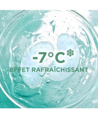 GARNIER Skin Active - Hyaluron Cryo Jelly Gel Face Mask - Anti-Fatigue & Refreshing Effect - Glycerin Menthol & Hyaluronic Acid - Vegan & Cruelty Free - Tired Skin - x1 - Buy Online on GoSupps.com