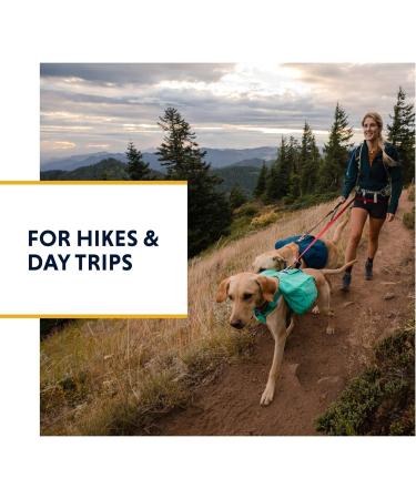 Luffwear Hundred Backpack for Large Dogs - Comfortable Saddlebag for Day Hikes | Front Range Day Pack in Aurora Teal Size L/XL - Buy Online on GoSupps.com