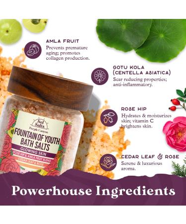 PURPLE CANYON SolSalts Fountain of Youth Bath Salts | Lavender Rose & Cedar Detox Soak with Epsom Salt for Glowing Skin - International Shipping Available - Buy Online on GoSupps.com