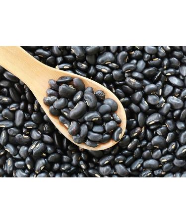 Organic Dry Beans Bundle - 5 LB Black Beans & 5 LB Pinto Beans | Non-GMO, Raw, Vegan, Kosher | Sproutable, Bulk Pack | High in Fiber & Protein | Ideal for Soups, Burritos, Tacos - Buy Online on GoSupps.com