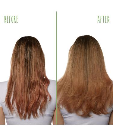 BIOLAGE Thermal Active Spray | Heat Styling Treatment | Adds Body & Volume | Paraben-Free & Vegan | 8.5 Fl Oz - Buy Online on GoSupps.com