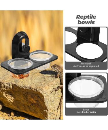 POPETPOP Gecko Feeder Ledge-Small Gecko Food Cups Reptile Feeder for Reptiles Food and Water Feeding(Screw Type) Size 1 - Buy Online on GoSupps.com