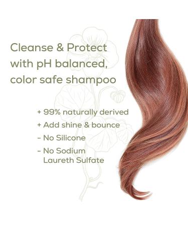 Naturtint Color Care Shampoo for Color-Treated Dry or Normal Hair - Paraben and Sulfate-Free Formula for Vibrant Results - Buy Online on GoSupps.com