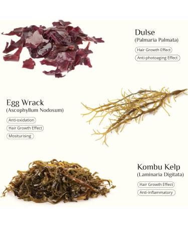 SEAWEED ORGANICS - Seaweed Skinfood face cream Luxurious Hydration with Natural Seaweed Extract Organic rosehip Vitamin E Nourishing Day Cream All Skin Types 60g DIANA DRUMMOND - Buy Online on GoSupps.com