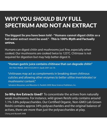 Brain Forza Organic Red Reishi Mushroom Capsules - Immune Support & Cardiovascular Health - 90 Vegan Capsules - Buy Online on GoSupps.com