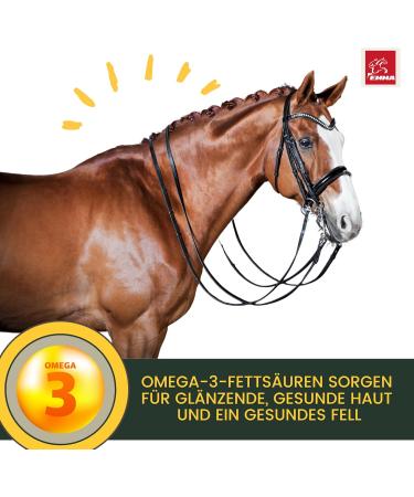 Linseed Oil Horses Dogs Cats I Barf Oil I Linseed Oil Horse Oil Omega 3 I Fatty Acids 3 6 I Cold Pressed 100% Coat Shiny Skin - Buy Online on GoSupps.com