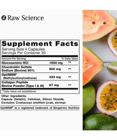 Glucosamine Chondroitin MSM Capsules for Joint Health | Triple Strength Formula for Men & Women | Reduces Joint Discomfort | Antioxidant Properties - 120 Tablets - Buy Online on GoSupps.com