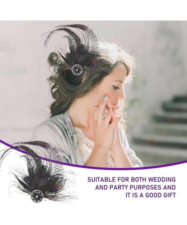 FERCAISH Women's Plumage Mesh Hair Clip 20s Hair Clip Vintage Costume Hair Accessories Fascinator Headwear for Women Birthday Wedding Party (Black) - Buy Online on GoSupps.com