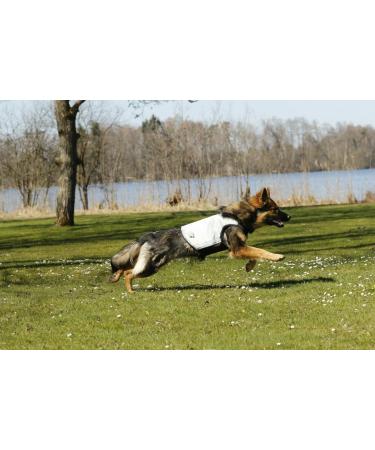 Buy Cani.Cool Cooling Vest for Dogs - Size L - Silver | Stay Cool with High-Quality Dog Cooling Gear - International Shipping Available - Buy Online on GoSupps.com
