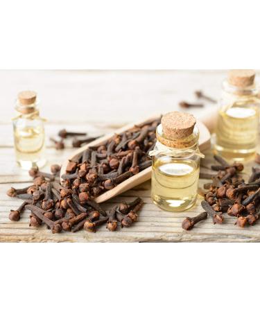 PurePlant Essentials 100% Pure R.I.D. Rapid Immune Defense Wellness Protection Mist Organic and Wild Crafted Essential Oils Blend - 2 Ounce - Buy Online on GoSupps.com