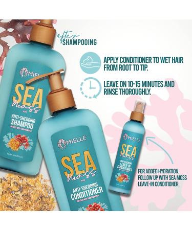 Mielle Organics Sea Moss Anti-Shedding Conditioner 8 Fl Oz - Stop Hair Shedding with Natural Ingredients - Buy Online on GoSupps.com