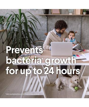 Clorox Disinfecting Wipes, Fresh Scent - 75 Count | Effective Cleaning & Germ Protection - Buy Online on GoSupps.com