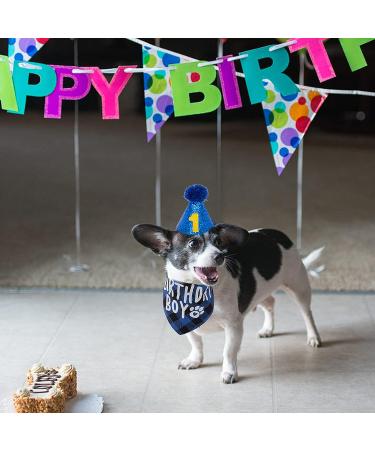 FLYSTAR Dog Birthday Bandana with Hat and Number - Blue Plaid Party Outfit for Small Medium Large Dogs - Buy Online on GoSupps.com