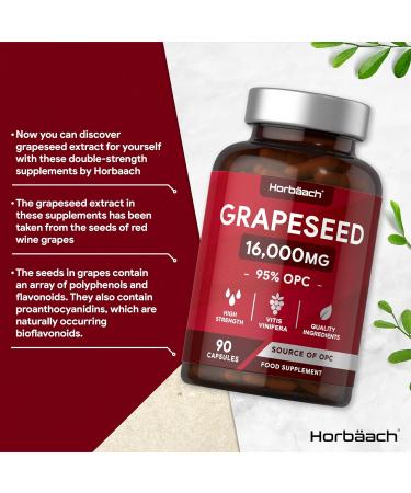 Grape Seed Extract Capsules | 16 000mg | 95% OPCs | High Strength Supplement | 90 Count | by Horbaach - Buy Online on GoSupps.com