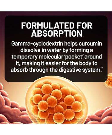 NatureWise Extra Strength Turmeric Curcumin 1000mg with Hydro-Soluble Technology for Ultra Absorption - 400mg Curcuminoids for Immune Support - Vegan Non-GMO 60 Capsules 30-Day Supply  - Buy Online on GoSupps.com