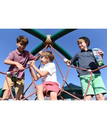 Happy Snacks Animal Crackers - Non GMO Plant Based Ingredients - Nut & Peanut Free - Circus 8 Oz Bag (Pack of 6) - Buy Online on GoSupps.com