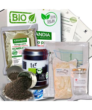 KIT COMPL TE KOMBUCHA FRAIS SCOBY KOMBUCHA - Avec Inscription Sanitaire (RGSEAA) - Pr parez Votre Propre Th Biologique Kombucha la Maison