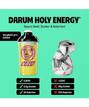 Holy Energy Gaming Booster 'Cactus Camel' | Cactus Fig Taste | 50 Portions | Vegan Focus Drink with Newcaff & Green Tea Extract | 100% Natural Fruit Aromas - Buy Online on GoSupps.com