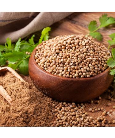 Coriander Seeds 1kg by Villa Nostrum - Coriander Seeds for Exquisite Flavors Coriander Seeds Whole - Buy Online on GoSupps.com