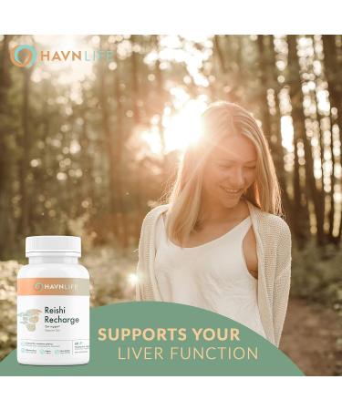 HAVN Life Reishi Recharge - Pure Reishi Mushroom Capsules for Immune Support Stress Relief and Liver - Brain Support Energy Booster Mushroom Supplement - Antioxidant and Non-GMO - 60 Vegan Capsules - Buy Online on GoSupps.com