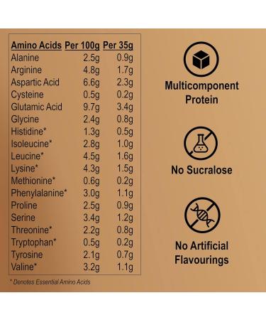 EarthChamp Vegan Protein Powder (2kg) - Plant Based Chocolate Shake - 56 Servings - Dairy & Lactose Free - Wyldsson - Choc 2 kg - Buy Online on GoSupps.com