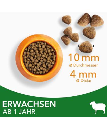 IAMS Dry Cat Food with Lamb - 10 kg for Cats Aged 1-6 Years | Premium Nutrition - Buy Online on GoSupps.com