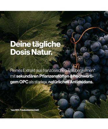 OPC Grape Seed Extract 120 Capsules | 95% Pure OPC | Vegan & Lab Tested from French Grapes | Produced in Germany - Shop Now! - Buy Online on GoSupps.com