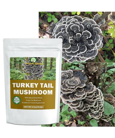 Dried Whole Turkey Tail Mushrooms - 2.5 oz All-Natural Turkey Tail Mushrooms for Cooking Soup Tea and Vegan Recipes No Additives No GMO - Buy Online on GoSupps.com