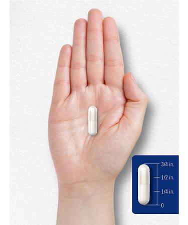 Niacin Flush Free 500mg | 220 Capsules | Non-GMO & Gluten Free | Essential Vitamin by Carlyle - Buy Online on GoSupps.com