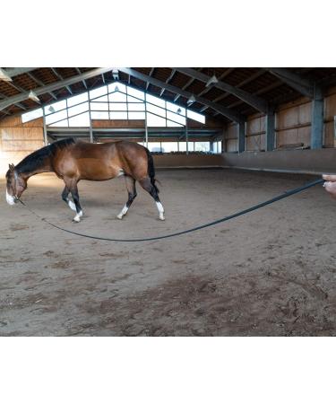 Bio-Line Lunge Guide 5-10m | Biothane 16mm Wide | Soft Lunge Rope with Hand Loop | 20 Colors for Equestrian Sports - Buy Online on GoSupps.com