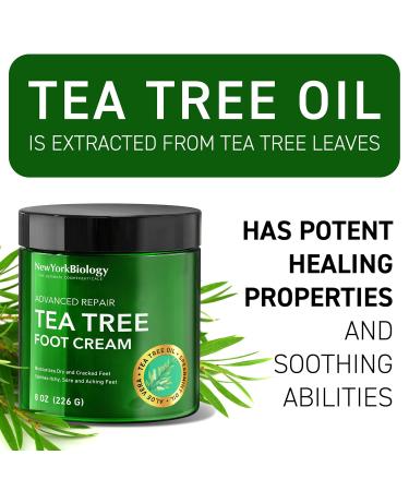 New York Biology Tea Tree Body Wash with Tea Tree Oil Foot Cream for Dry Cracked Feet - Helps Jock Itch & Itchy Skin Nail Fungus Athletes Foot Eczema & Body Odor Ringworms Moisturizing Cream - Buy Online on GoSupps.com