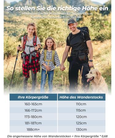 Glymnis 7075 Aluminum Hiking Sticks | Ultra-Light Foldable Trekking Poles for Men & Women | Adjustable 110-130cm with Rotary Lock & Rubber Buffers - Black - Buy Online on GoSupps.com