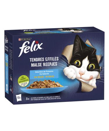 FELIX Soft Shredded in Jelly | Adult Cat | Selection of Fish | Pack of 6-12 x 85 g | Freshness sachet