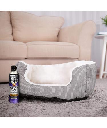 Hot Shot HG-2118 Flea Tick & Lice Killer Aerosol Spray 14 Oz - Odor Neutralizer - 1 Pack - Buy Online on GoSupps.com