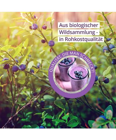 Organic Wild Blueberry Powder 200g - Raw Food Quality Antioxidant-Rich Fruit Powder (Vaccinium myrtillus) - International Shipping Available - Buy Online on GoSupps.com