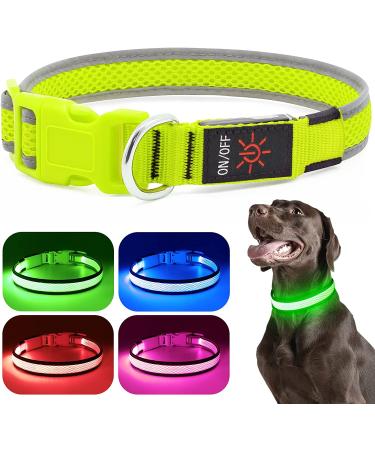 Flashseen LED Dog Collar - USB Rechargeable Light Up Safety Collar for Small, Medium, Large Dogs (Candy Pink, Size Small) - Buy Online on GoSupps.com