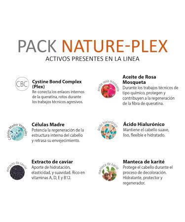 Abril et Nature Nature Plex Gift Set - Anti-Frizz Shampoo Moisture Mask & Stem Cell Treatment for Stressed Hair - International Shipping Available - Buy Online on GoSupps.com