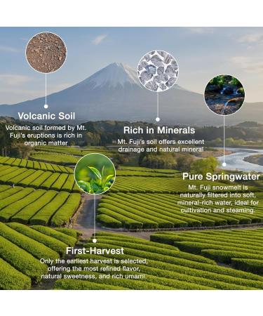 Matcha Premium Japonais Asayu Fuji Poudre de Th Vert Grade C r monial 100g | Riche en Antioxydants Boisson Japonaise Traditionnelle - Buy Online on GoSupps.com