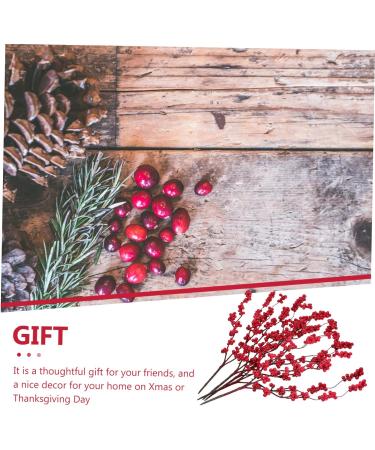 ABOOFAN 15 Pcs Simulation Red Berry Artificial Berries Stems Household Decor Home Decor Artifical Flower Arrangement Faux Berry Stems Plant Vase Fake Berry Stem Christmas Red Berries Iron - Buy Online on GoSupps.com