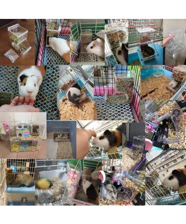 Small Animal Automatic Feeder 400ml - Ideal Food Storage Bowl for Hamsters, Gerbils, Mice, Hedgehogs, Guinea Pigs & More - Buy Online on GoSupps.com