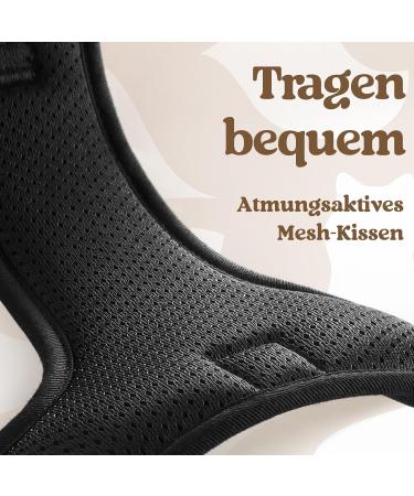 Rabbitgoo Dog Harness for Large Dogs - Adjustable No-Choke Reflective Chest Harness with Handle - Soft Padded XL - Black (1 Pack) - Buy Online on GoSupps.com