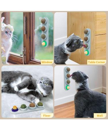 Tohdnc Catnip Balls for Cats - 4 Edible Mint Toys for Healthy Teeth & Extra Energy - Perfect for Kittens! - Buy Online on GoSupps.com