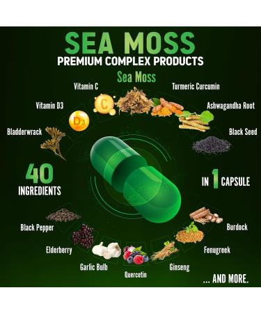 Zolotus (2 Packs 60 Capsules Sea Moss Supplement 40 in 1 with Turmeric Curcumin Ashwagandha Root Bladderwrack for Immune System Body Balance & Heart Health - Buy Online on GoSupps.com