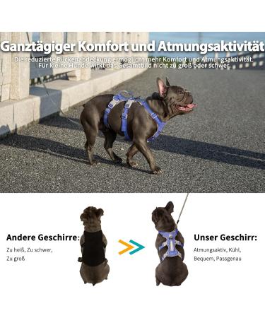 Huntboo Outbreak-Proof Dog Harness & Safety Dishes - Reflective Adjustable Vest for Small Dogs (Vista Blue Size S) | Shop Now - Buy Online on GoSupps.com