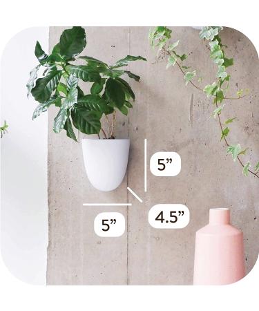 Set of 3 MakeGood Virgo Wall Planters: Lightweight, Easy to Water & Install, Melamine Plastic - Create Your Vertical Garden - Buy Online on GoSupps.com
