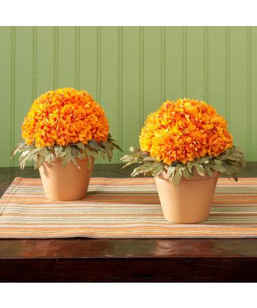 FloraCraft FloraFM Half Ball 3.8x7.8 Inch Green - Versatile Floral Foam for Arrangements - Buy Online on GoSupps.com