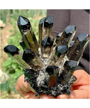 Natural Crystal Rough Crystals 1pc Black Phantom Quartz Crystal Cluster (Size : 800-850g) - Buy Online on GoSupps.com